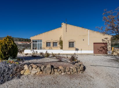 Finca / Country Property · Resale - La Zarza · Murcia · Spain
