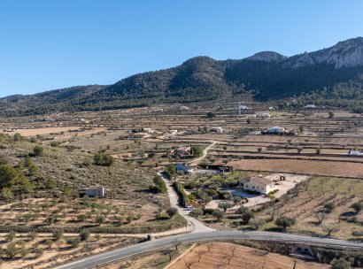 Finca / Country Property · Resale - La Zarza · Murcia · Spain