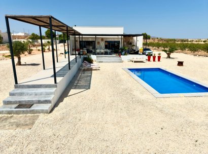 Fristående villa · Återförsäljning - Pinoso · Alicante · Spanien