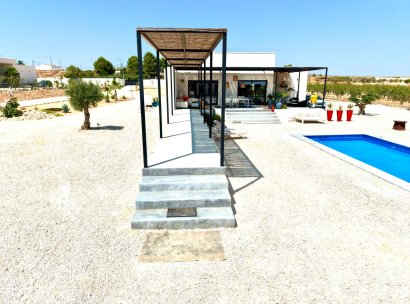 Fristående villa · Återförsäljning - Pinoso · Alicante · Spanien