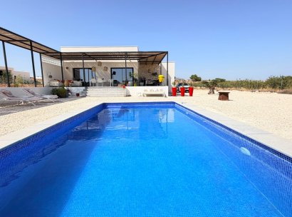 Fristående villa · Återförsäljning - Pinoso · Alicante · Spanien