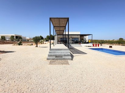 Fristående villa · Återförsäljning - Pinoso · Alicante · Spanien