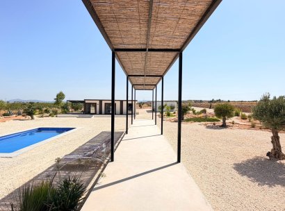 Fristående villa · Återförsäljning - Pinoso · Alicante · Spanien