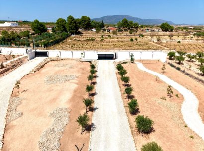 Fristående villa · Återförsäljning - Pinoso · Alicante · Spanien