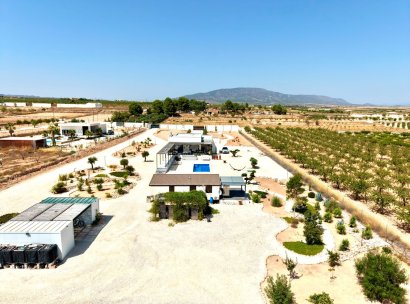 Fristående villa · Återförsäljning - Pinoso · Alicante · Spanien