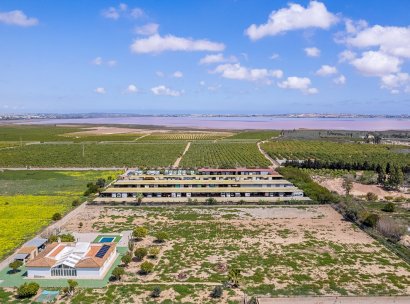 Villa · Reventa - Los Montesinos · Alicante · España