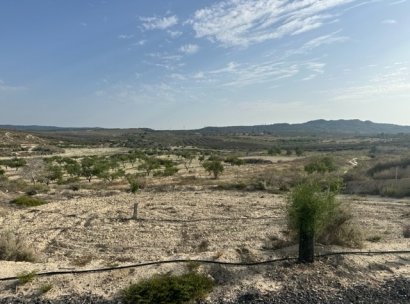 Plot of Land · Herverkoop - Torremendo · Alicante · Spanje