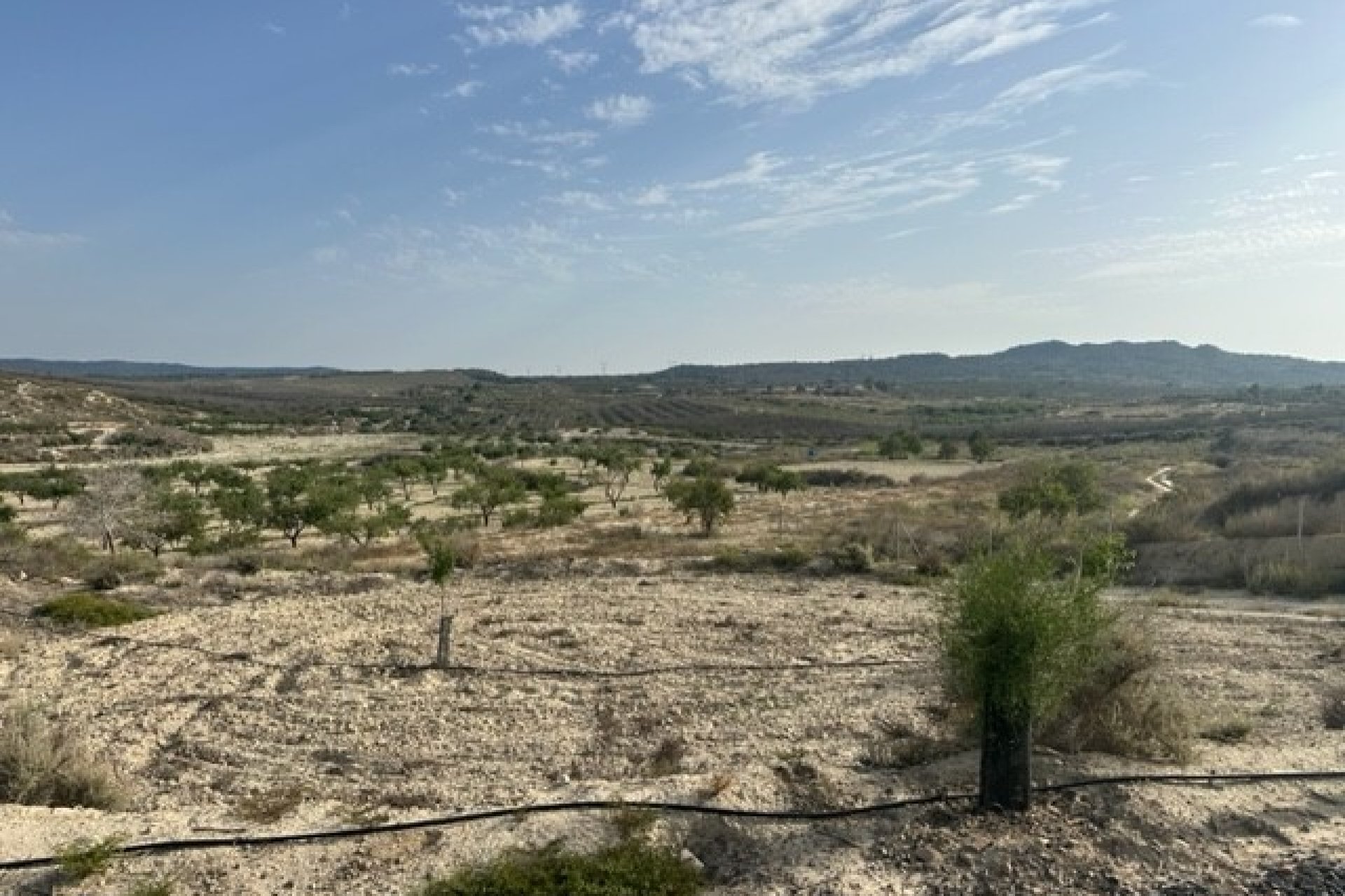Resale - Plot of Land - Torremendo