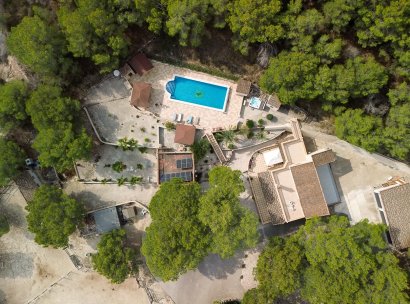 Country Property/Finca · Återförsäljning - Torremendo · Alicante · Spanien