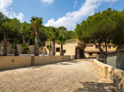 Country Property/Finca · Återförsäljning - Torremendo · Alicante · Spanien