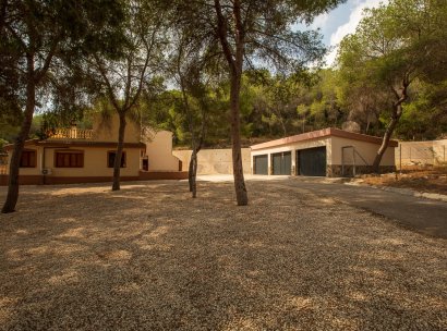 Country Property/Finca · Återförsäljning - Torremendo · Alicante · Spanien