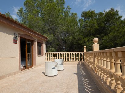 Country Property/Finca · Återförsäljning - Torremendo · Alicante · Spanien