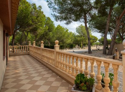 Country Property/Finca · Återförsäljning - Torremendo · Alicante · Spanien