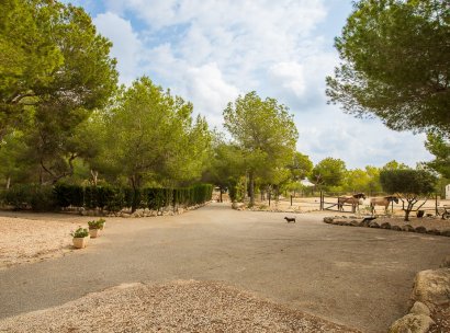 Country Property/Finca · Återförsäljning - Torremendo · Alicante · Spanien