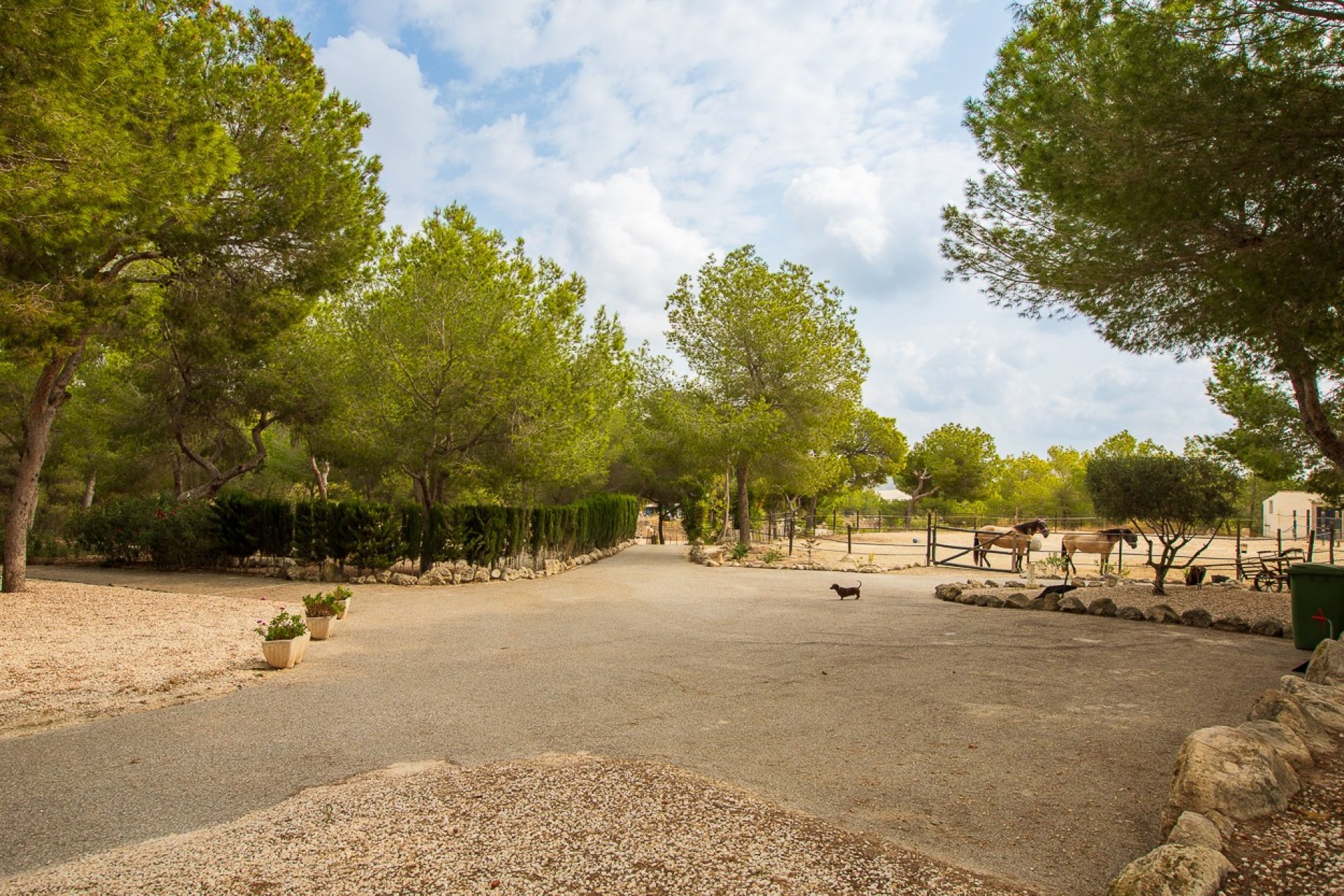 Återförsäljning - Country Property/Finca - Torremendo