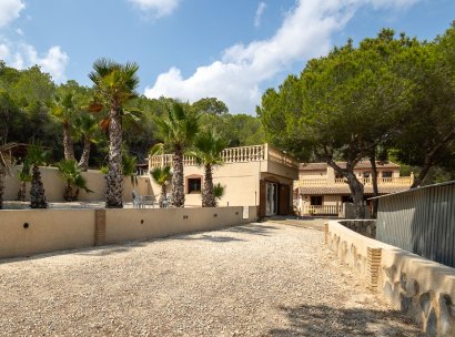 Country Property/Finca · Återförsäljning - Torremendo · Alicante · Spanien
