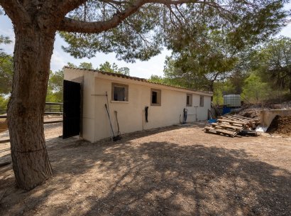 Country Property/Finca · Återförsäljning - Torremendo · Alicante · Spanien