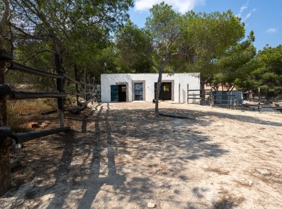 Country Property/Finca · Återförsäljning - Torremendo · Alicante · Spanien