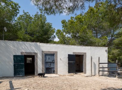 Country Property/Finca · Återförsäljning - Torremendo · Alicante · Spanien