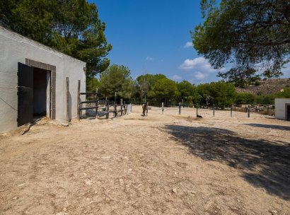 Country Property/Finca · Återförsäljning - Torremendo · Alicante · Spanien