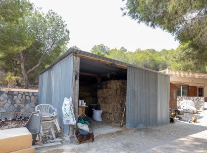 Country Property/Finca · Återförsäljning - Torremendo · Alicante · Spanien
