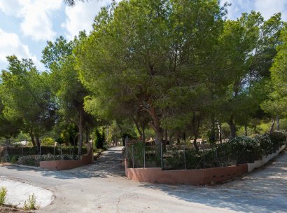 Country Property/Finca · Återförsäljning - Torremendo · Alicante · Spanien