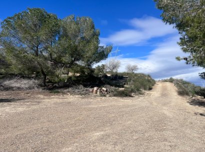 Country Property/Finca · Återförsäljning - Torremendo · Alicante · Spanien