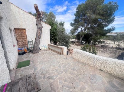 Country Property/Finca · Återförsäljning - Torremendo · Alicante · Spanien