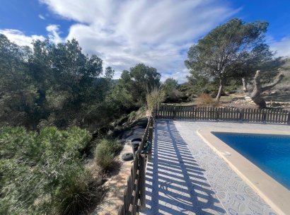 Country Property/Finca · Återförsäljning - Torremendo · Alicante · Spanien