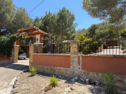 Country Property/Finca · Återförsäljning - Torremendo · Alicante · Spanien