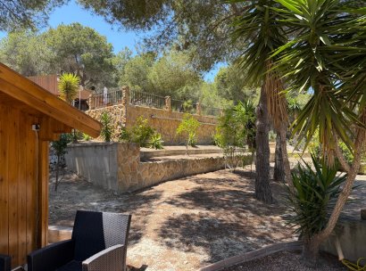 Country Property/Finca · Återförsäljning - Torremendo · Alicante · Spanien