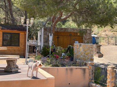 Country Property/Finca · Återförsäljning - Torremendo · Alicante · Spanien