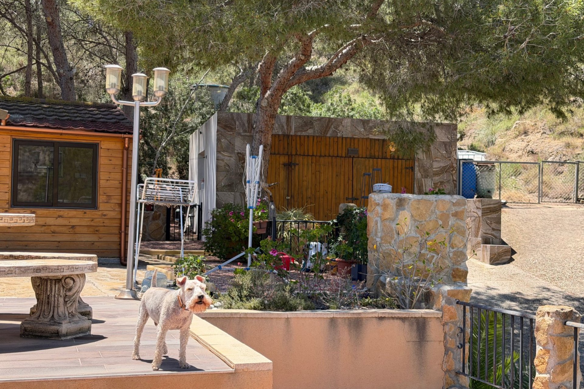 Återförsäljning - Country Property/Finca - Torremendo