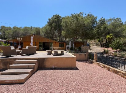 Country Property/Finca · Återförsäljning - Torremendo · Alicante · Spanien