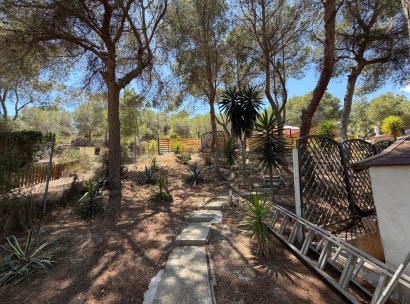 Country Property/Finca · Återförsäljning - Torremendo · Alicante · Spanien
