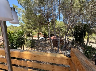 Country Property/Finca · Återförsäljning - Torremendo · Alicante · Spanien