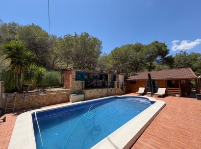 Country Property/Finca · Återförsäljning - Torremendo · Alicante · Spanien