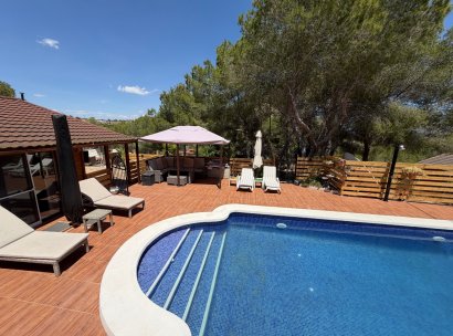 Country Property/Finca · Återförsäljning - Torremendo · Alicante · Spanien