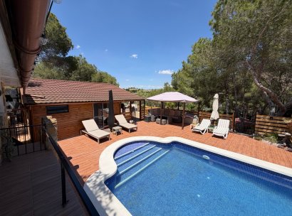 Country Property/Finca · Återförsäljning - Torremendo · Alicante · Spanien