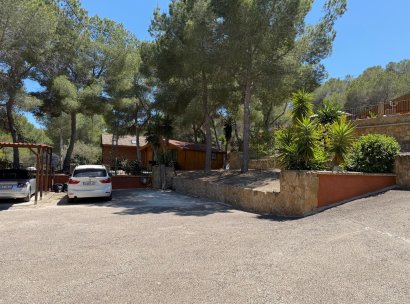 Country Property/Finca · Återförsäljning - Torremendo · Alicante · Spanien