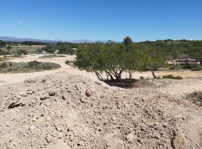 Land and Plots · Återförsäljning - La Marina · Alicante · Spanien
