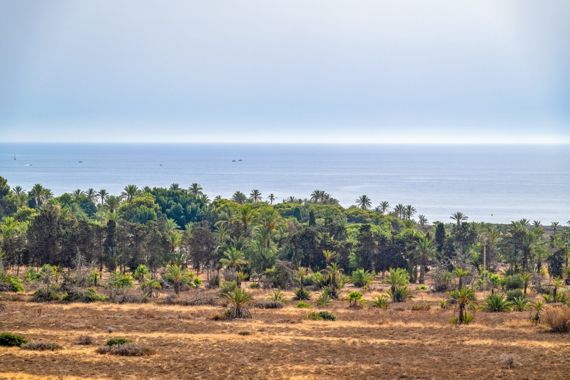 Wiederverkauf - Wohnung - Orihuela Costa - Costa Blanca Süd