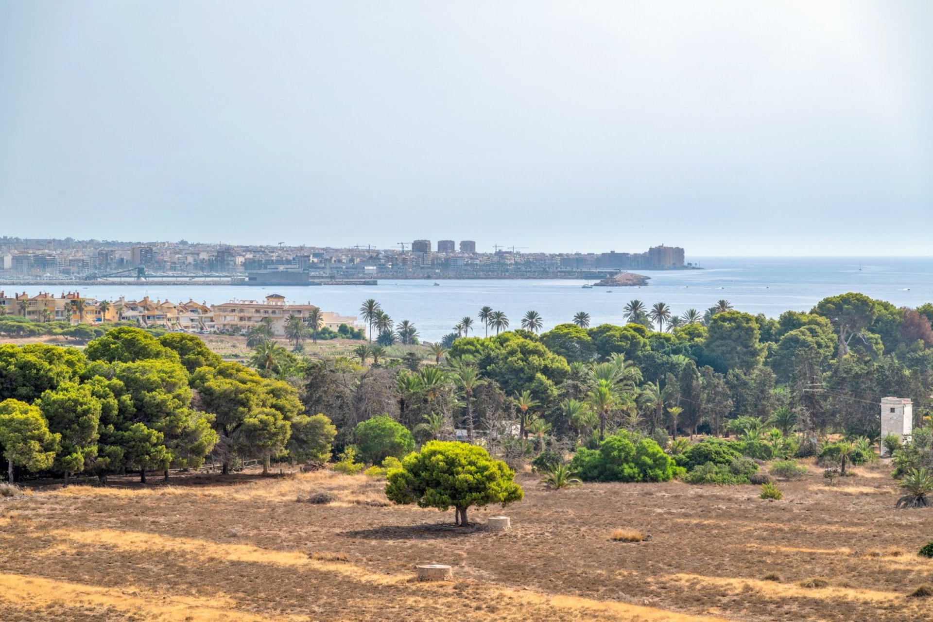 Wiederverkauf - Wohnung - Orihuela Costa - Costa Blanca Süd