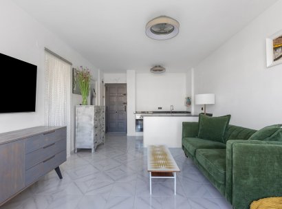 Apartment - Flat · Återförsäljning - Torrevieja · La Mata · Alicante · Spanien
