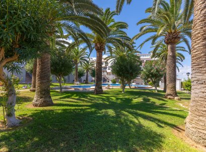 Apartment - Flat · Återförsäljning - Torrevieja · La Mata · Alicante · Spanien