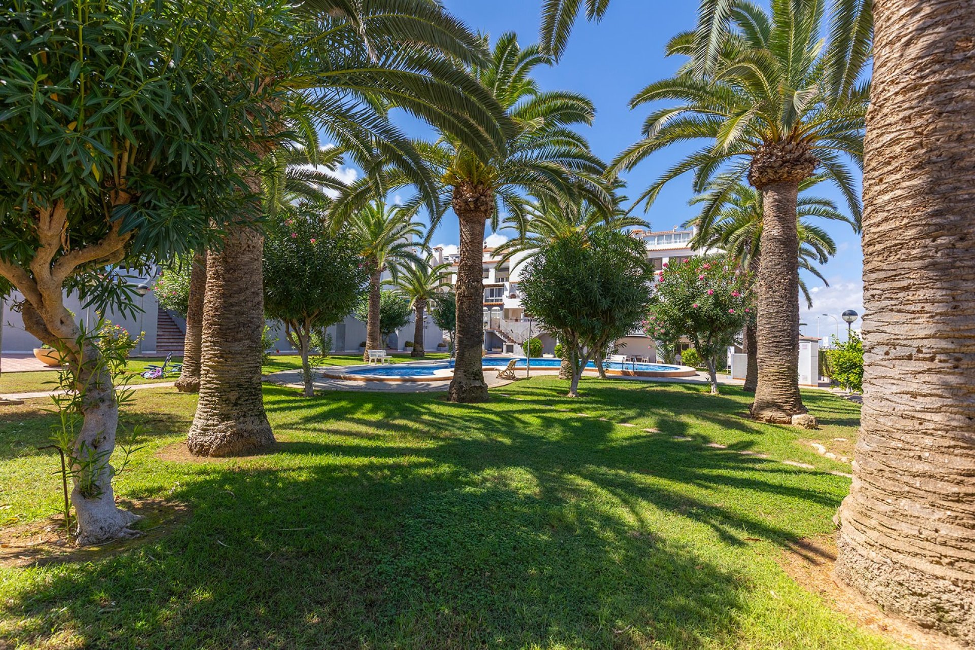 Herverkoop - Apartment - Flat - Torrevieja - Costa Blanca South
