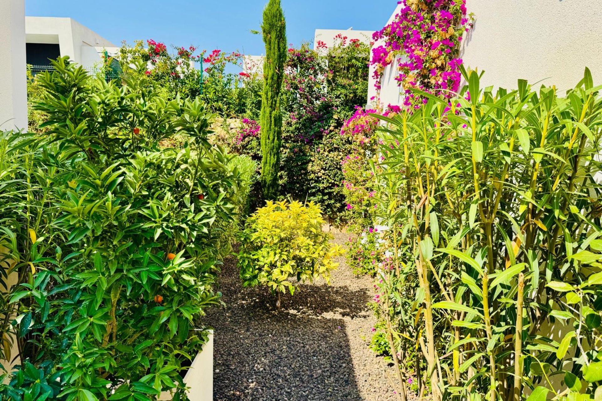 Herverkoop - Villa - La Finca Golf
