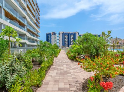 Apartments · Återförsäljning - Orihuela Costa · Punta Prima · Alicante · Spanien