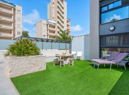 Apartments · Återförsäljning - Guardamar · Alicante · Spanien