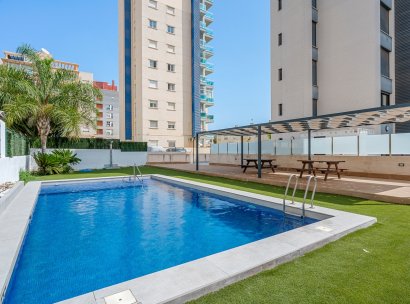 Apartments · Återförsäljning - Guardamar · Alicante · Spanien